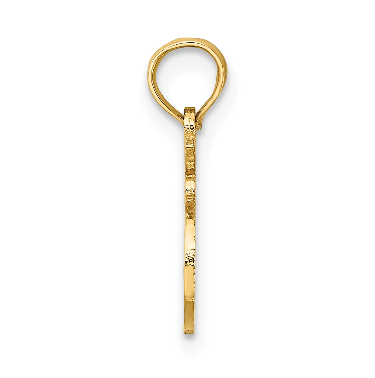 10K Yellow Gold 100% LEO Zodiac Charm