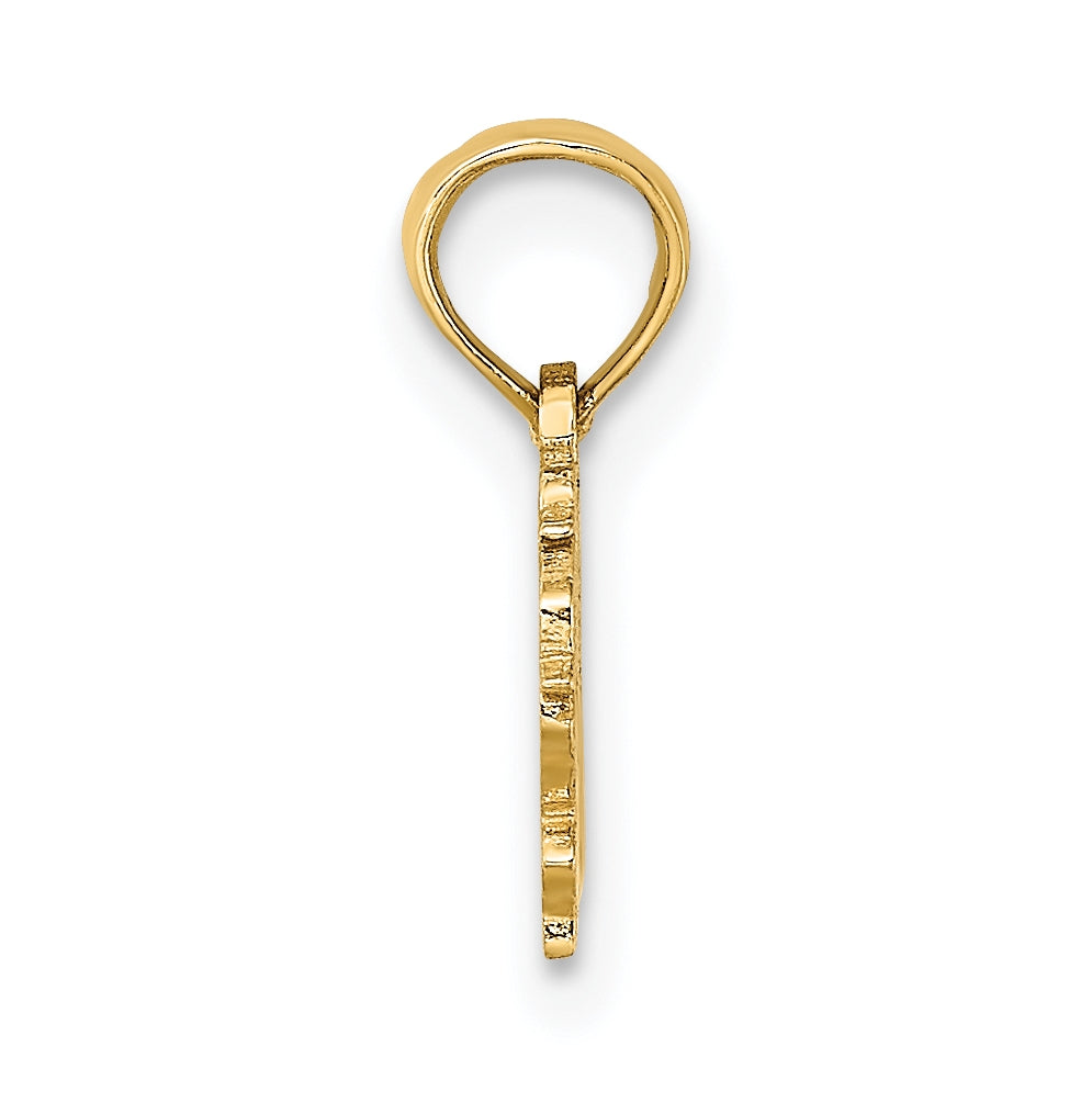 10K Yellow Gold 100% VIRGO Zodiac Charm