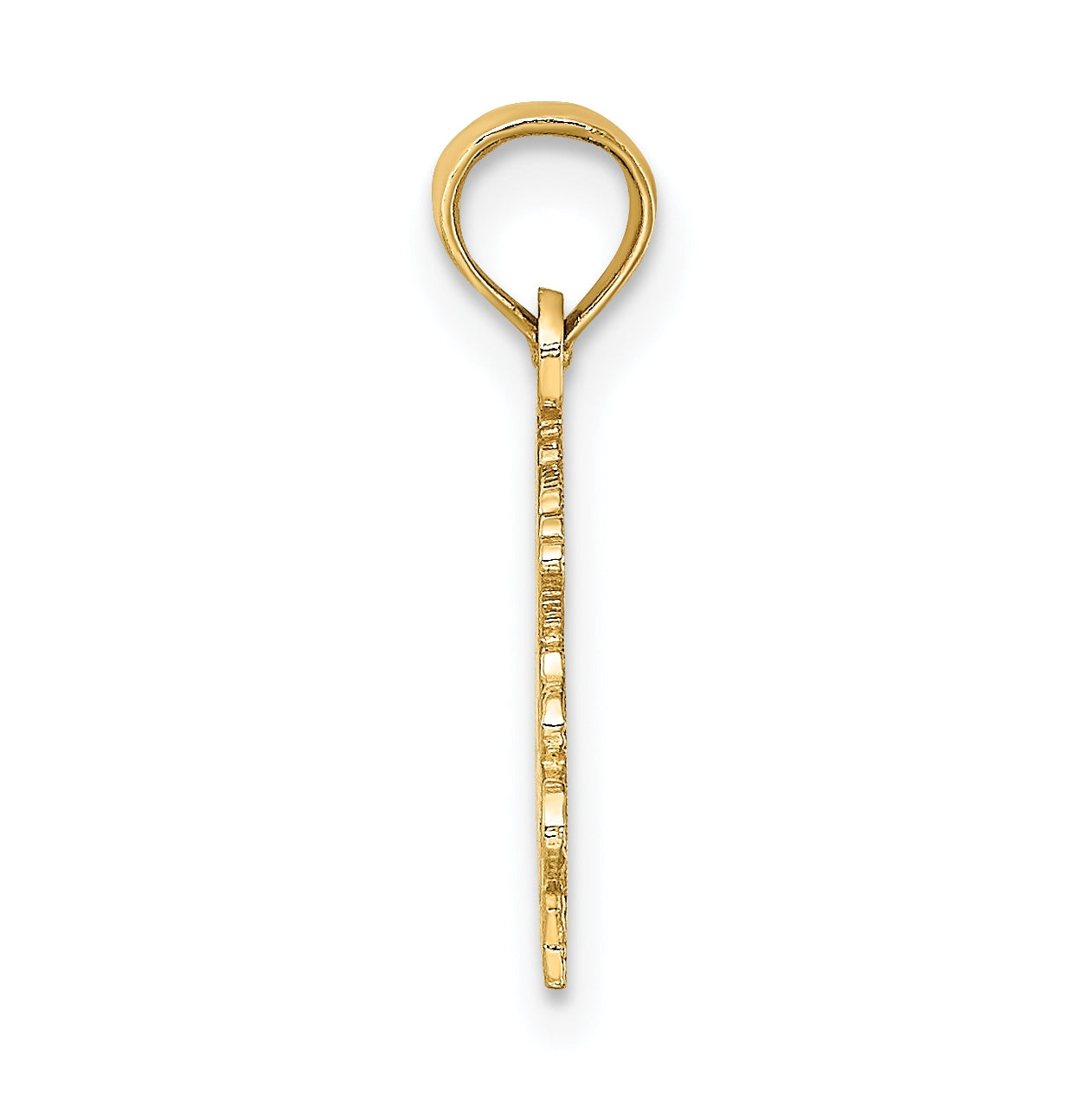 10K Yellow Gold 100% CAPRICORN Zodiac Charm