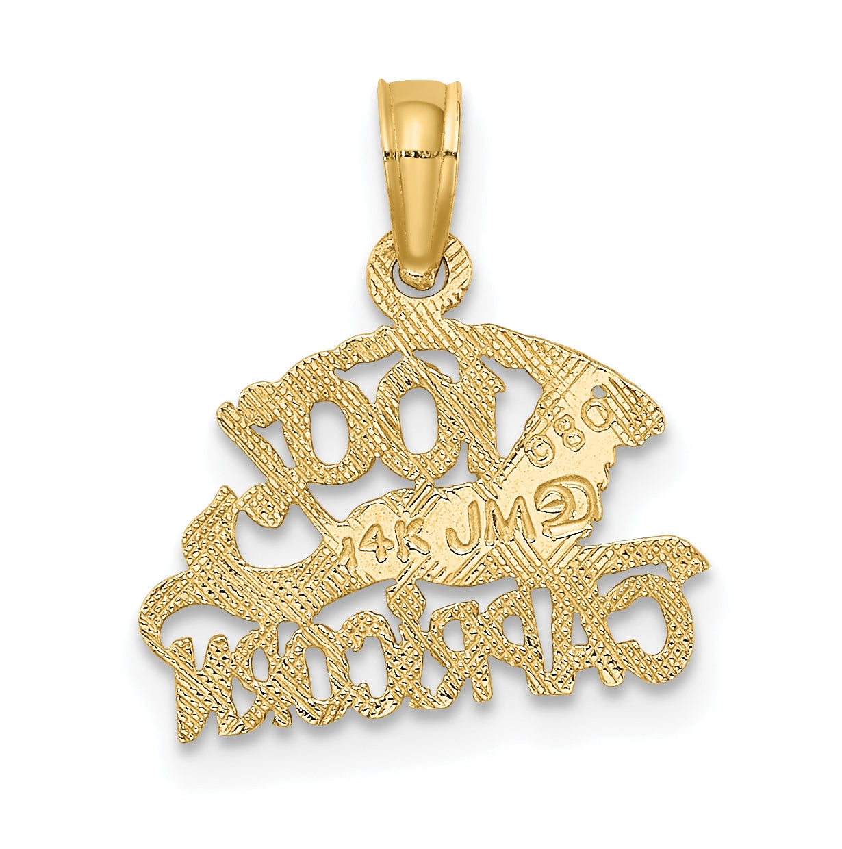 10K Yellow Gold 100% CAPRICORN Zodiac Charm