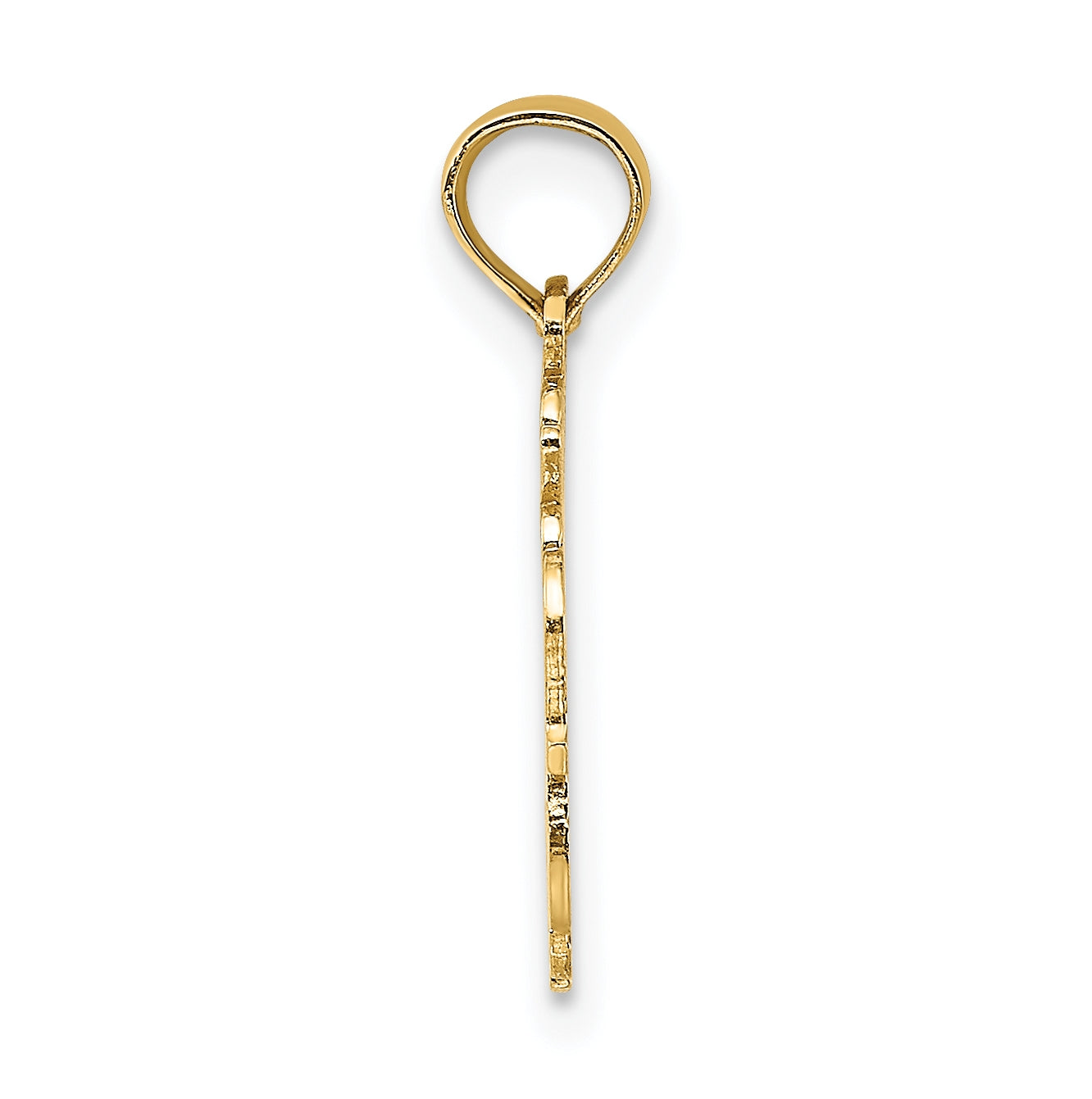 10K Yellow Gold 100% AQUARIUS Zodiac Charm