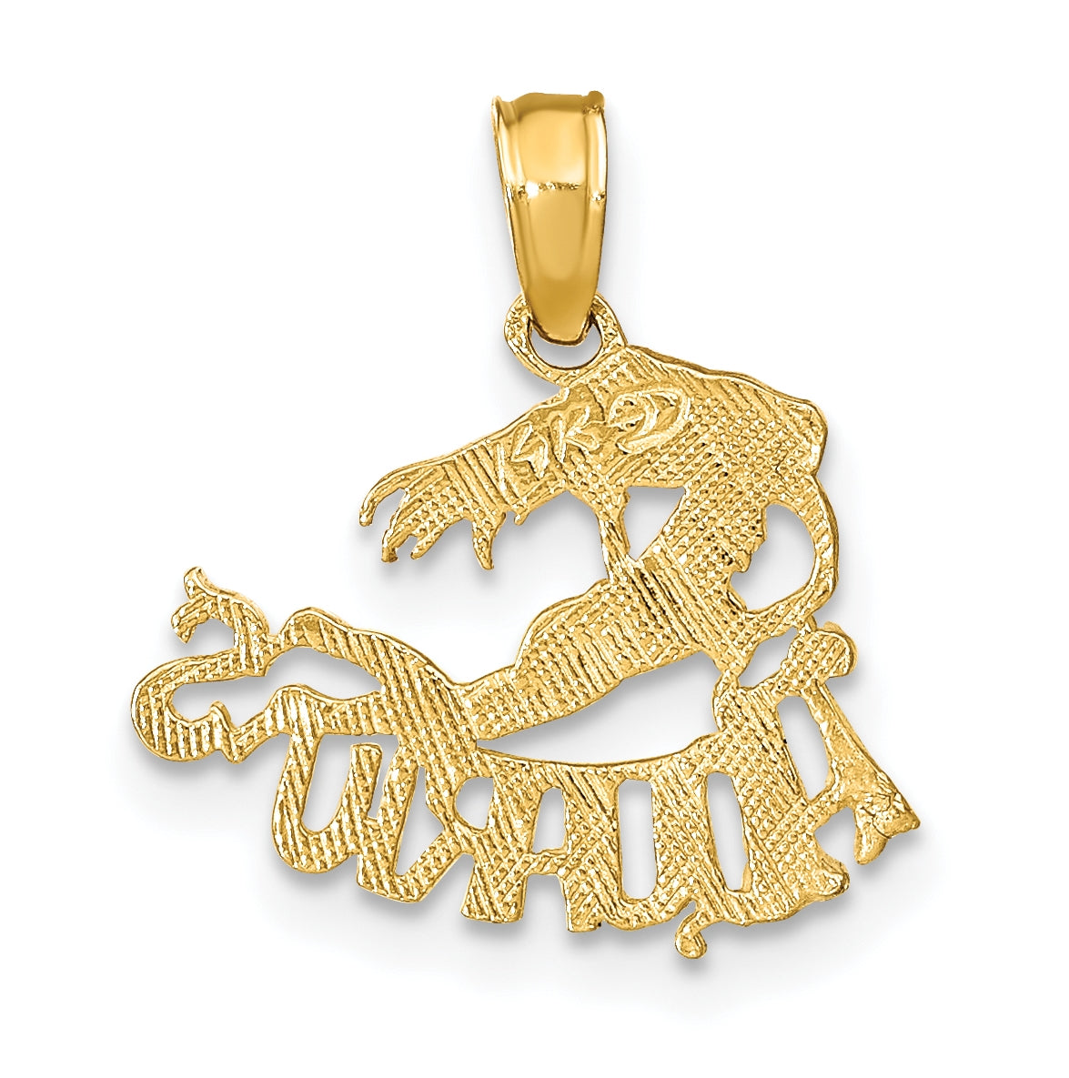 10K Yellow Gold Zodiac AQUARIUS Charm