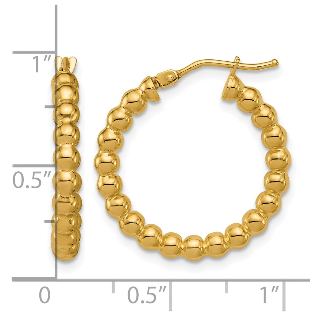 10k Yellow Gold Polished Beaded Round Hoop Earrings