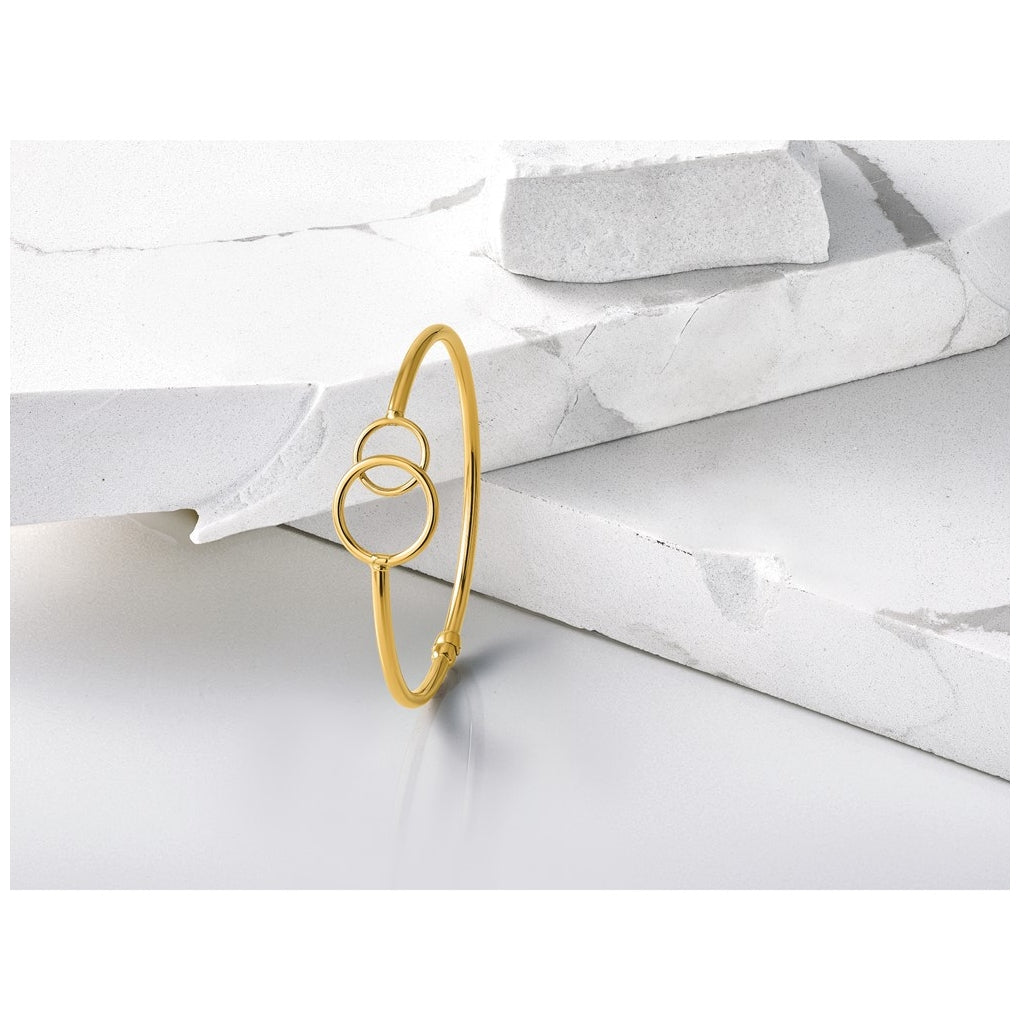 10k Yellow Gold Polished Double Circled Hinged Bangle