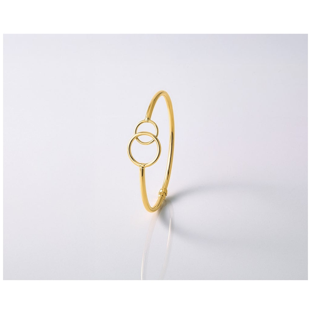 10k Yellow Gold Polished Double Circled Hinged Bangle