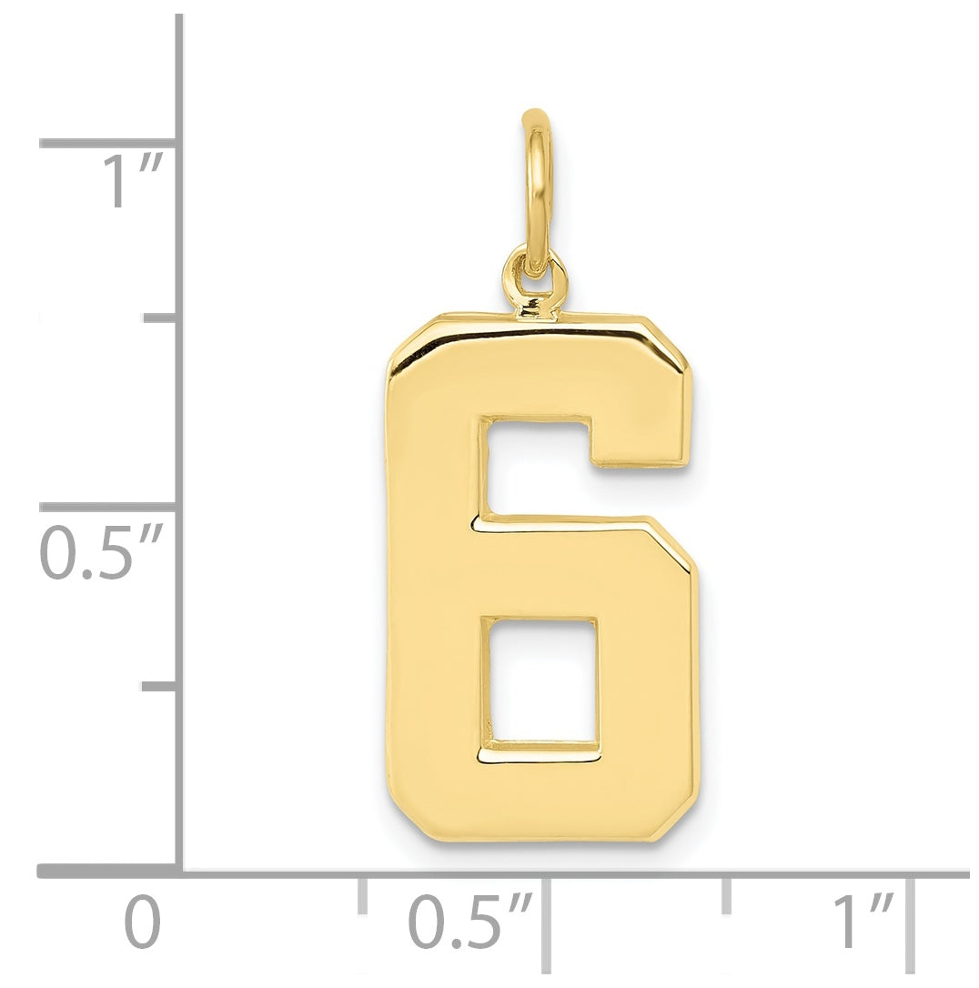 10K Yellow Gold Casted Large Polished Number 6 Charm