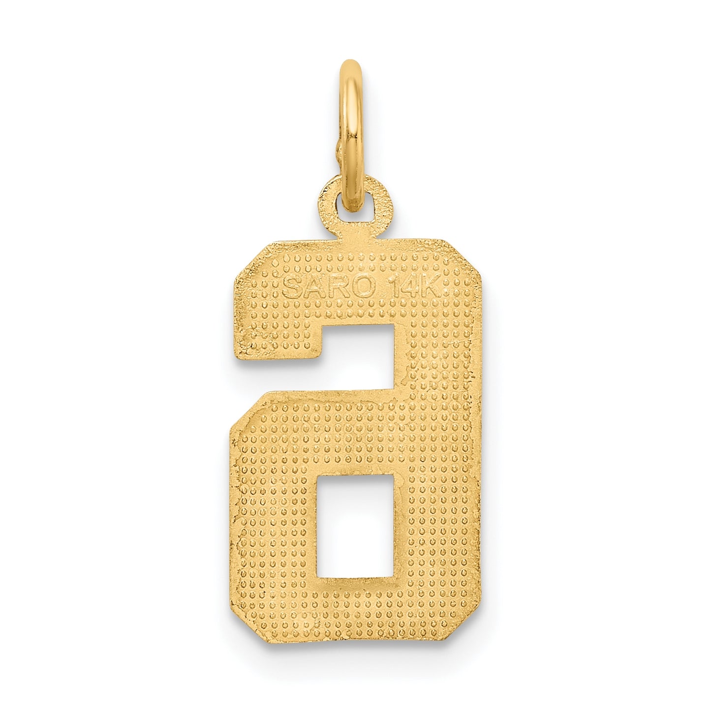 10K Yellow Gold Casted Medium Diamond-cut Number 6 Charm
