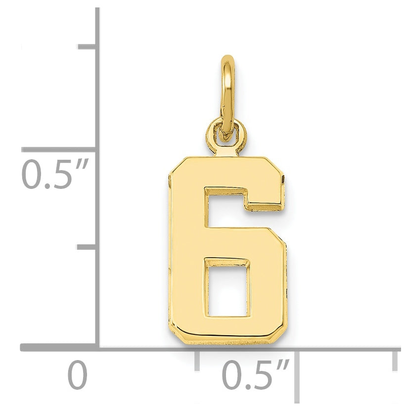 10K Yellow Gold Casted Small Polished Number 6 Charm