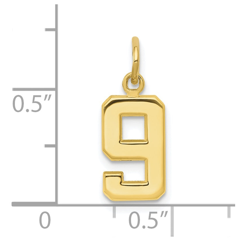 10K Yellow Gold Casted Small Polished Number 9 Charm