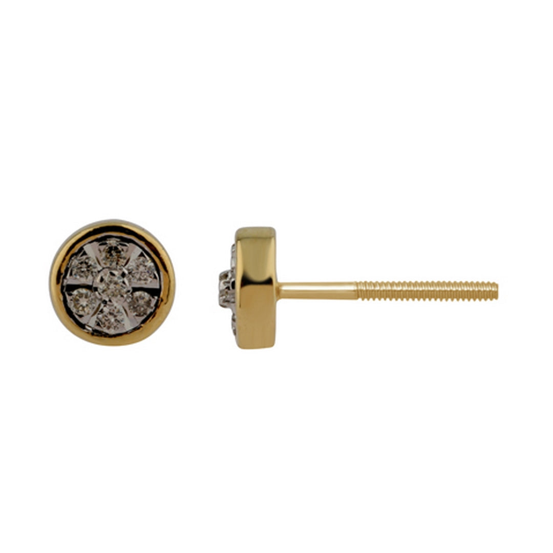10K Yellow Gold 0.11 Cttw Diamond Earring