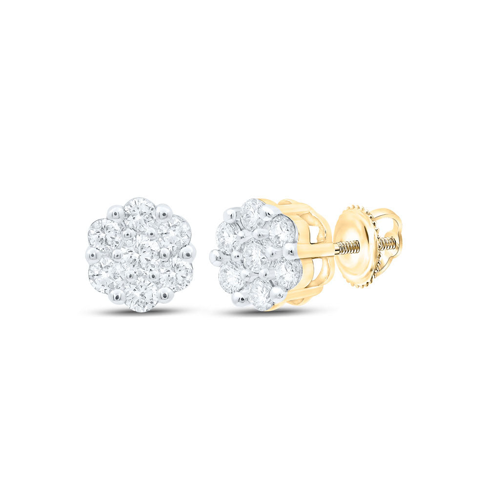 10K Yellow Or White Or Rose Gold Womens Round Diamond Flower Cluster Earrings
