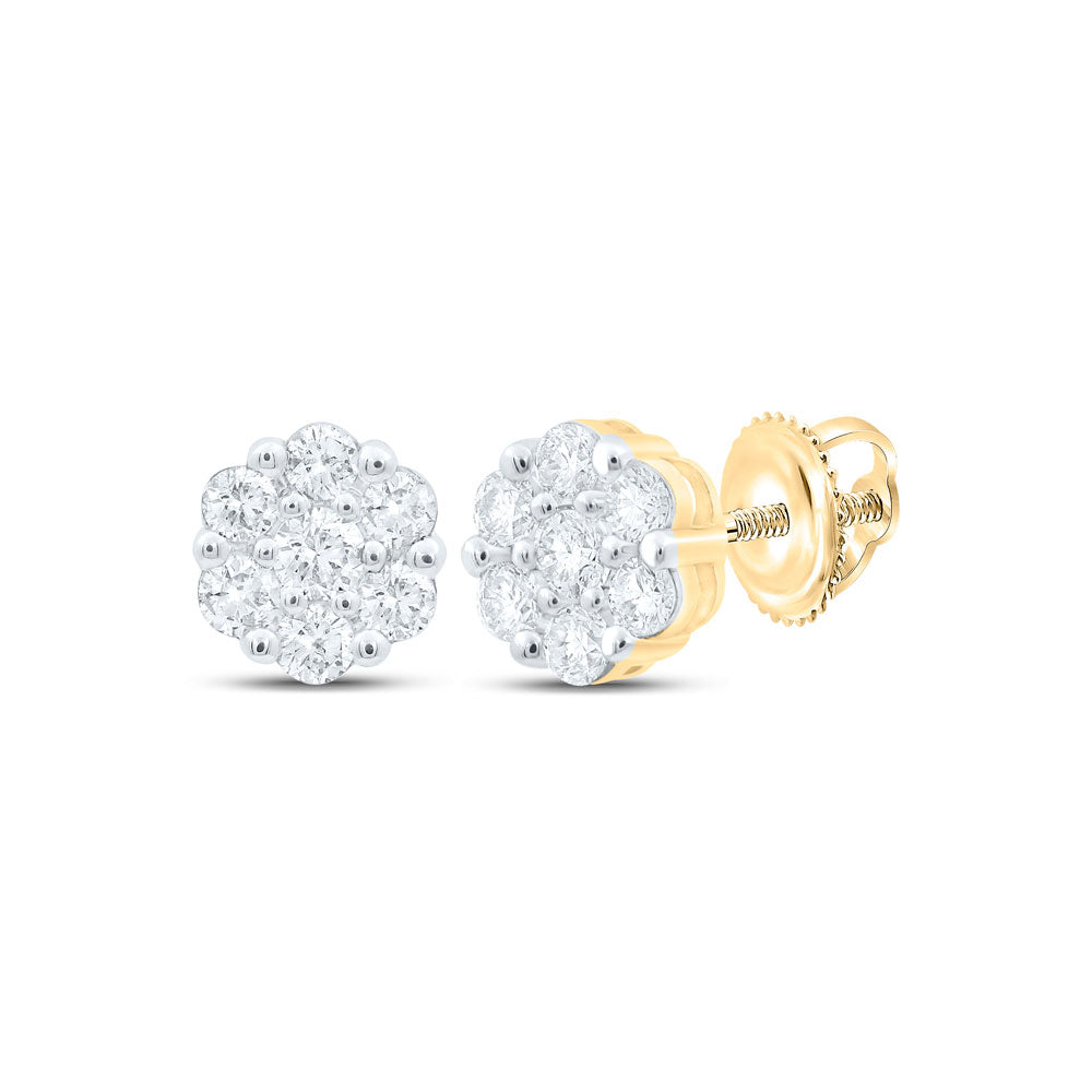 10K Yellow Or White Or Rose Gold Womens Round Diamond Flower Cluster Earrings