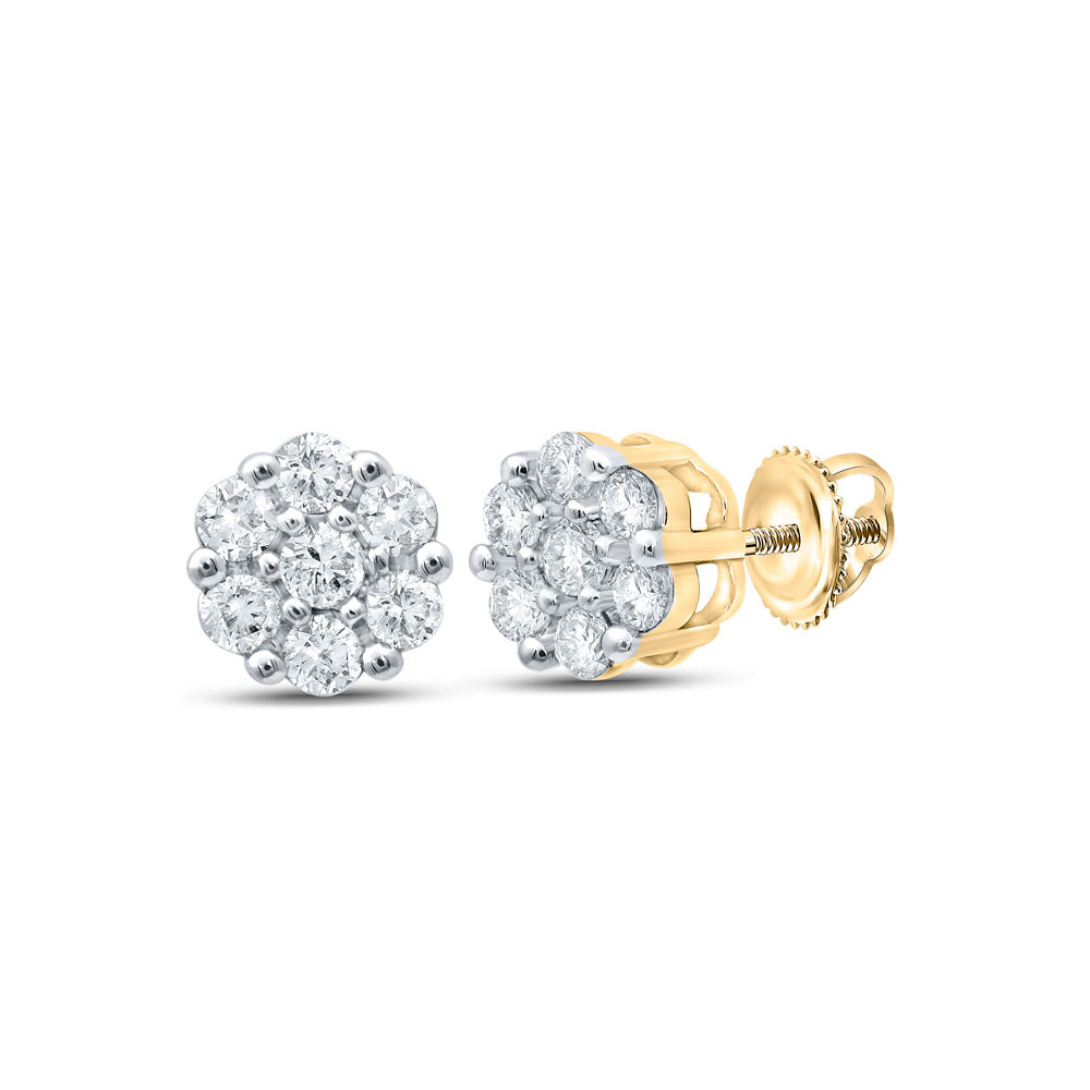 10K Yellow Or Rose Gold Womens Round Diamond Flower Cluster Earrings