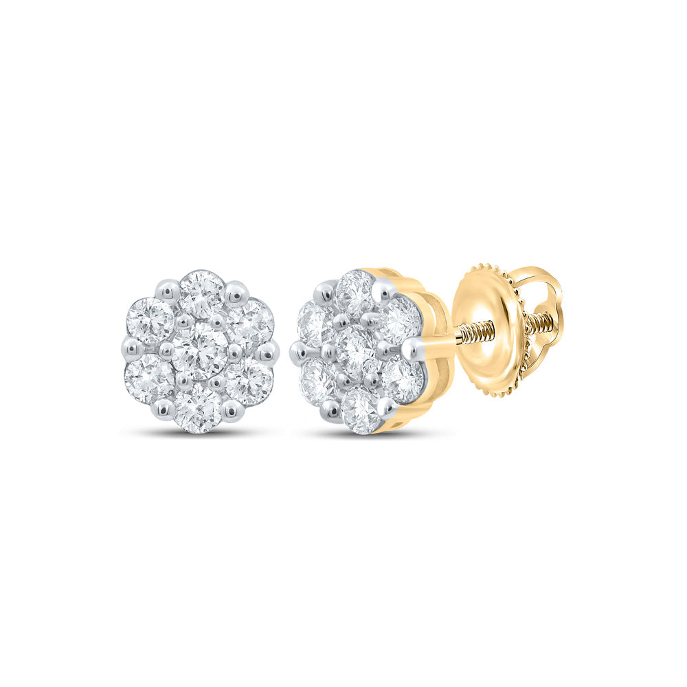 10K Yellow Or Rose Gold Womens Round Diamond Flower Cluster Earrings