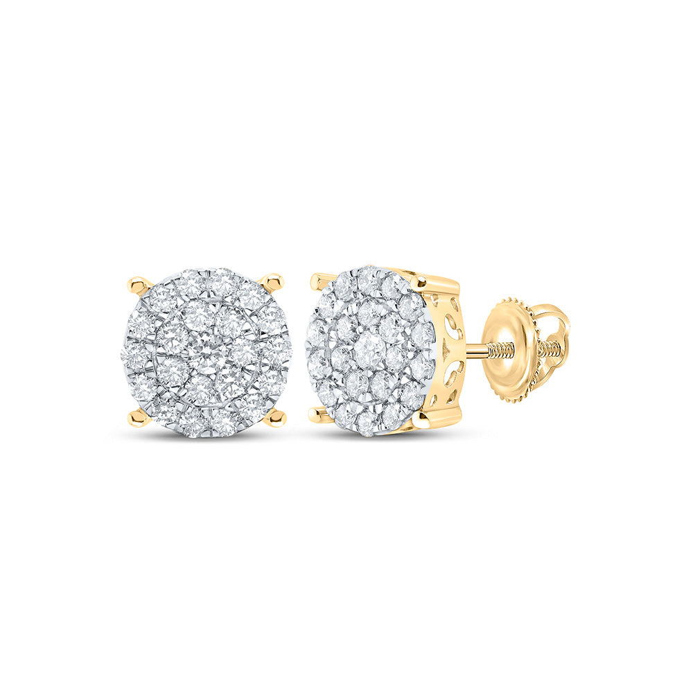 10K Yellow Or White Or Rose Gold Womens Round Diamond Cluster Earrings