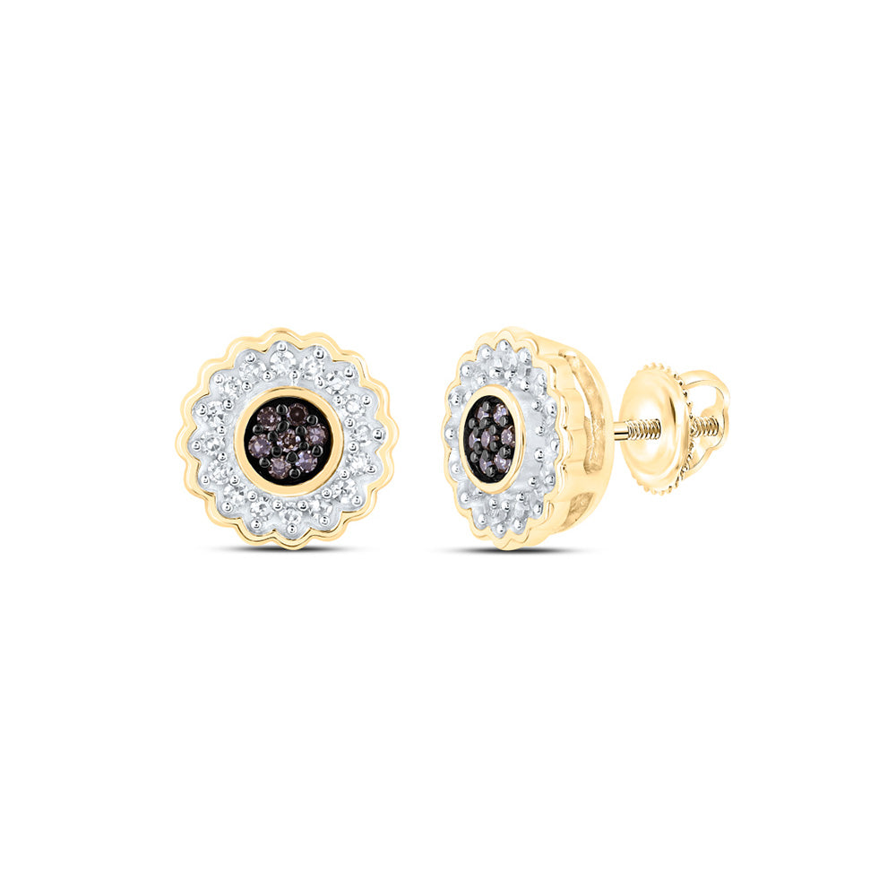 10K Yellow Or Rose Gold Womens Round Brown Diamond Circle Earrings