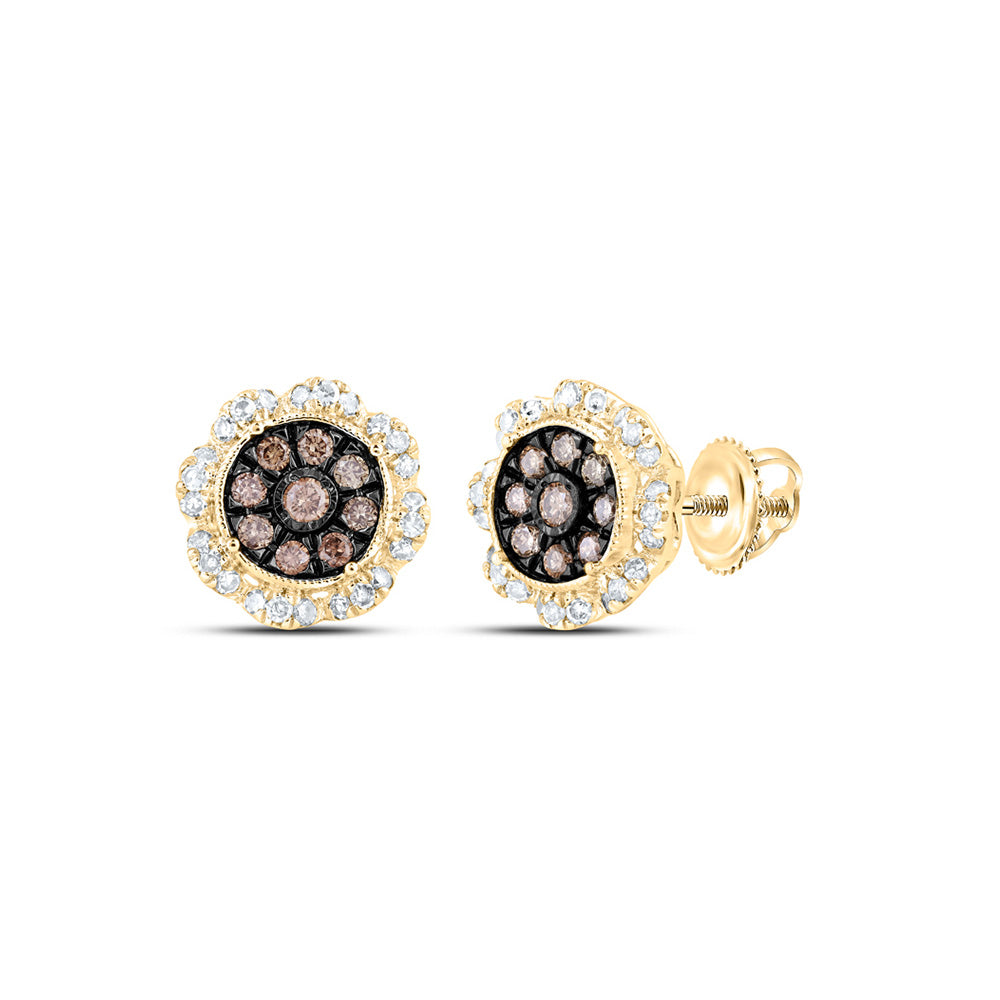 10K Yellow Or Rose Gold Womens Round Brown Diamond Cluster Earrings