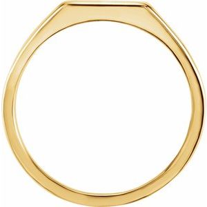 10K Yellow Gold 12 X 10 Mm Brush Polished Signet Ring Size 11