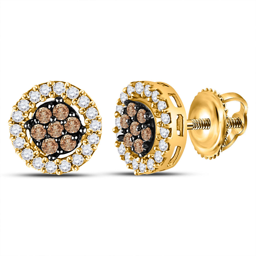 10K White Or Yellow Gold Womens Brown Diamond Flower Cluster Stud Earrings