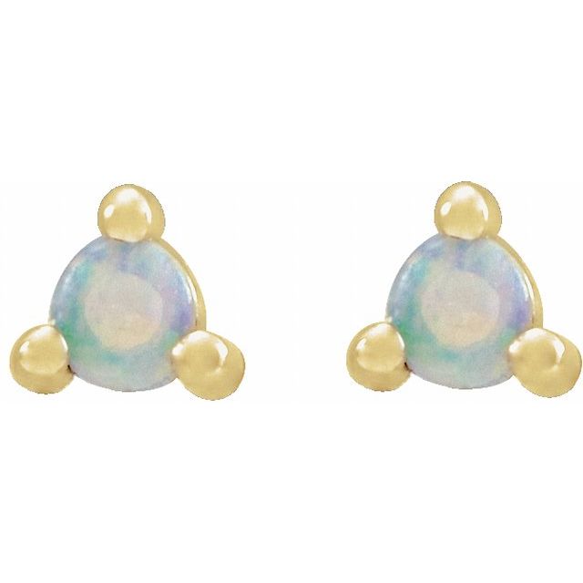 14K Yellow Or White Or Rose Gold Round Friction Backs Polished Natural Diamond Rose-Cut 3-Prong Earrings