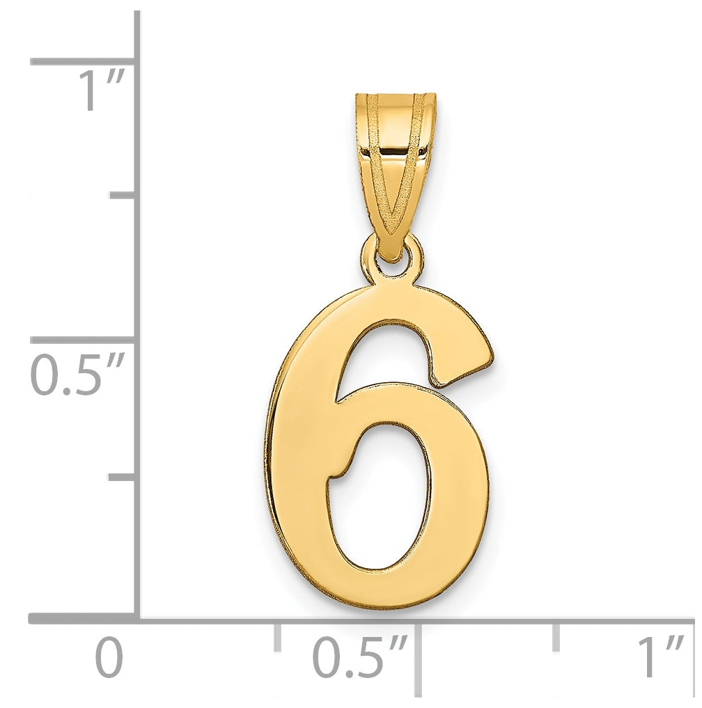 14K Yellow Gold Polished Number 6 Pendant