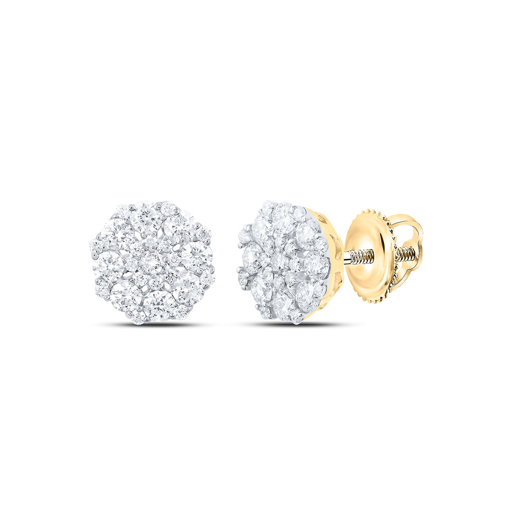 14K White Or Yellow Gold Womens Round Diamond Octagon Cluster Earrings