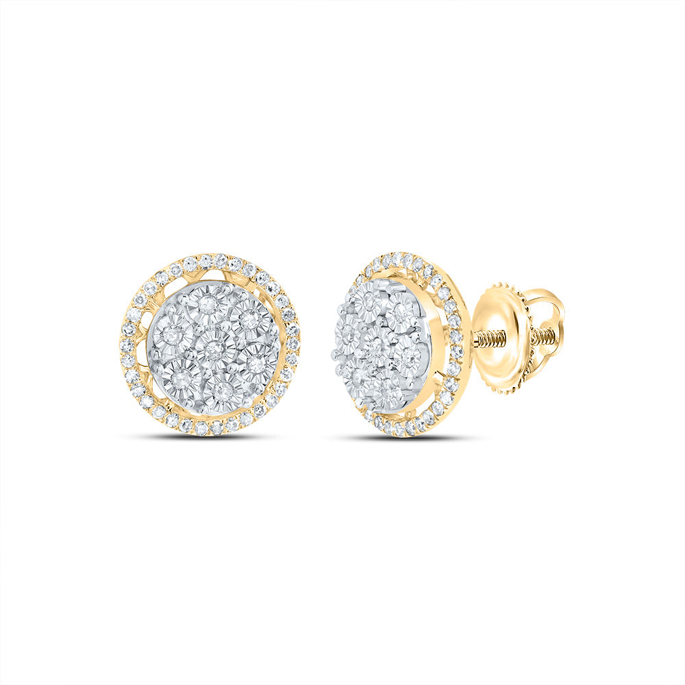 10kt Yellow Gold 1/3 Cttw Natural Diamond Round Stud Earring