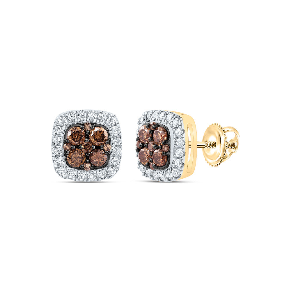 10kt Yellow Gold 1/2 Cttw Diamond Cognac Natural Cushion Stud Earring