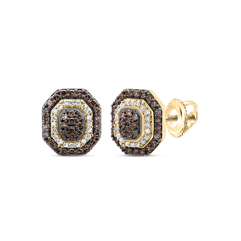 10kt Yellow Gold 1/3 Cttw Diamond Octagon Cognac Natural Stud Earring
