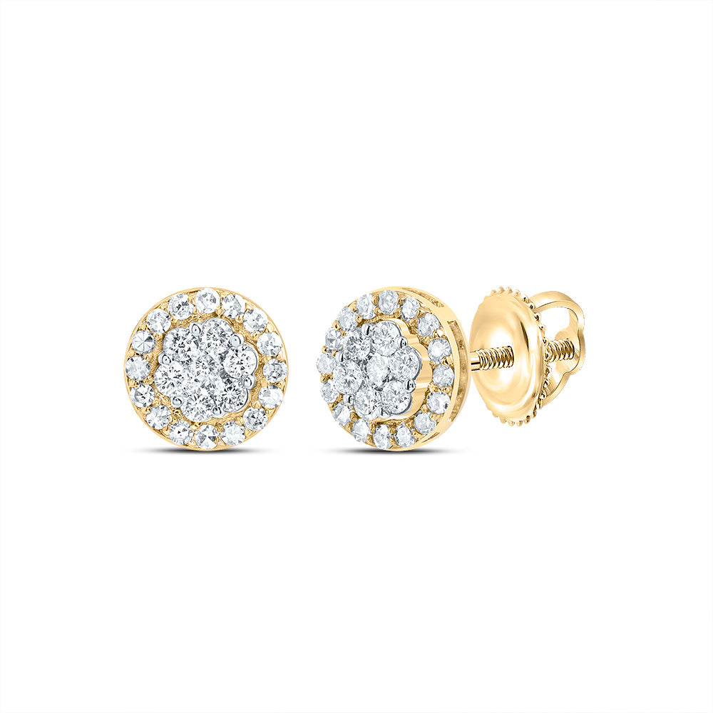 10kt Yellow Gold 1/2 Cttw Diamond Round Flower Stud Earring
