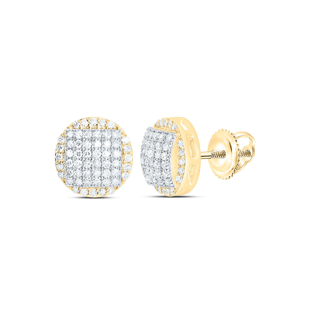 10K Yellow Gold 3/8Cttw Natural Diamond Nk Fashion Round Earring