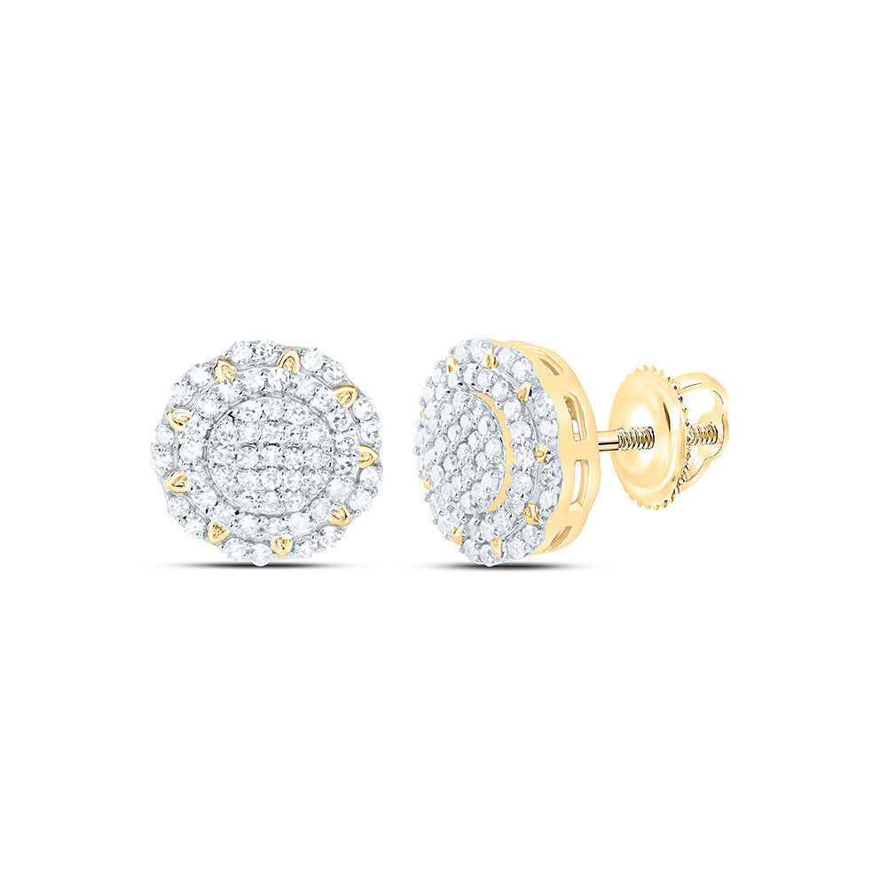 10K Yellow Gold 3/8 Cttw Natural Diamond Nk Fashion Round Earring