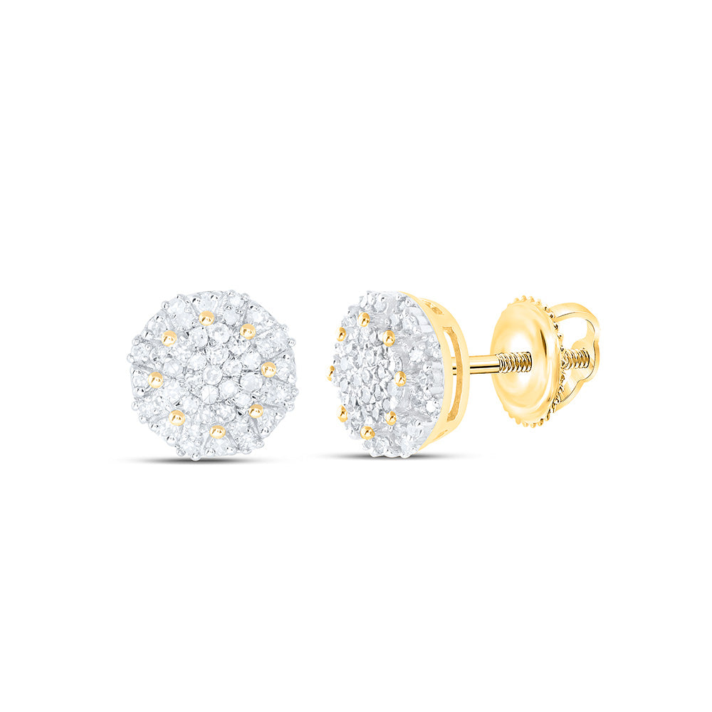 10K Yellow Or White Gold 1/3 Cttw Natural Diamond Nk Fashion Round Earring
