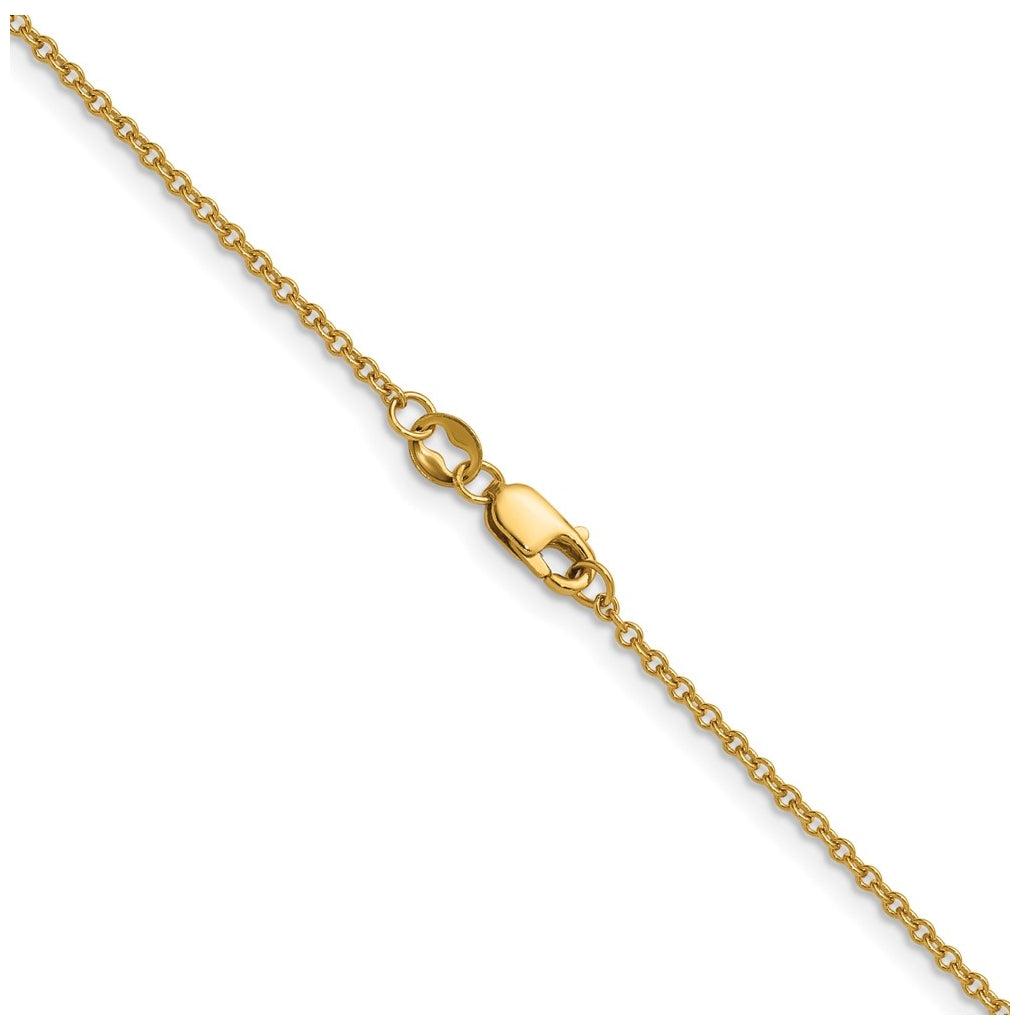 1/20 14K Gold Filled Flat Cable with Lobster Clasp Chain