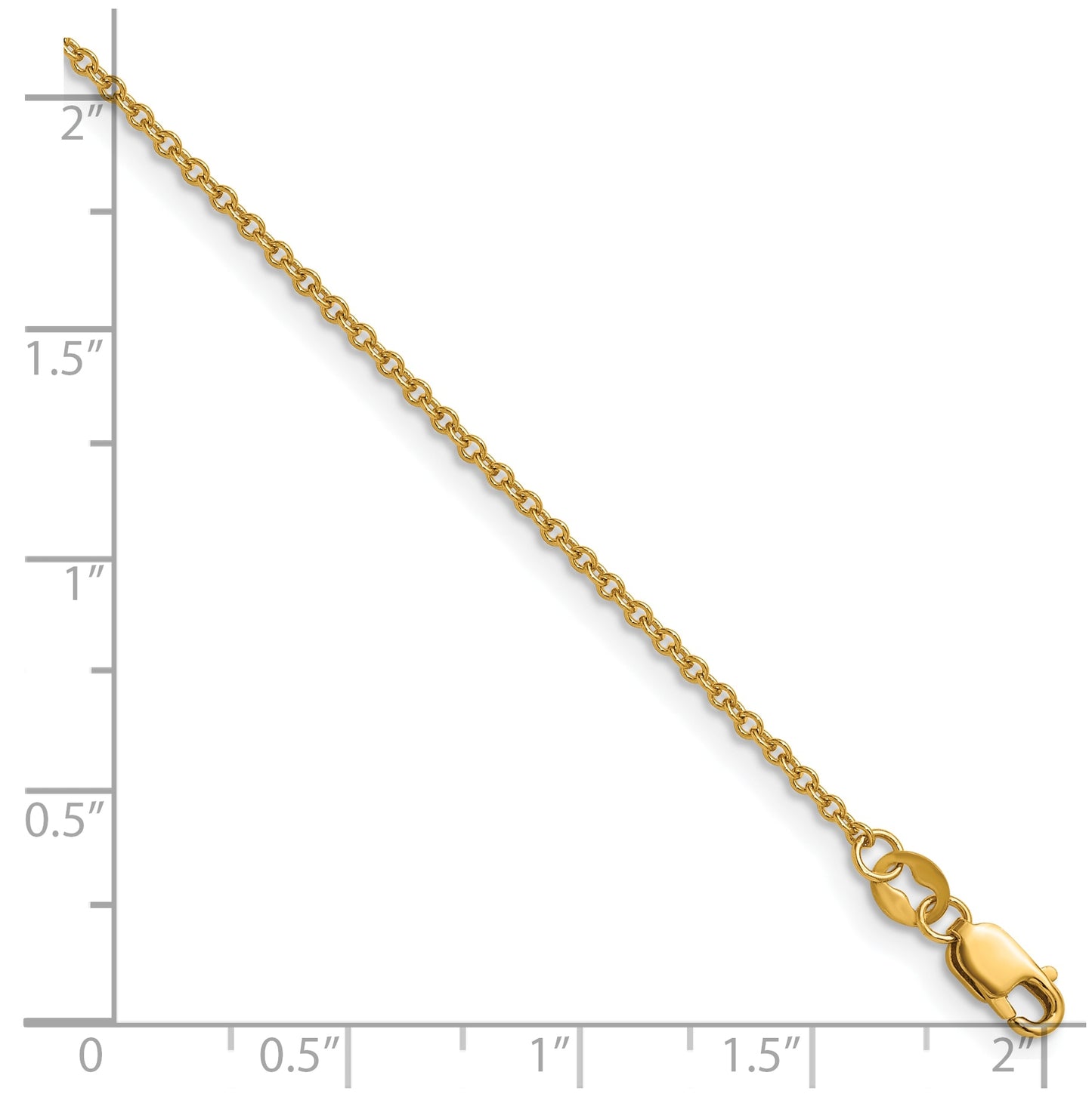 1/20 14K Gold Filled Flat Cable with Lobster Clasp Chain
