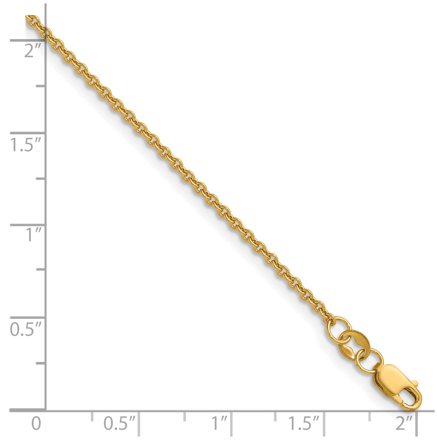1/20 14K Gold Filled Flat Cable with Lobster Clasp Chain