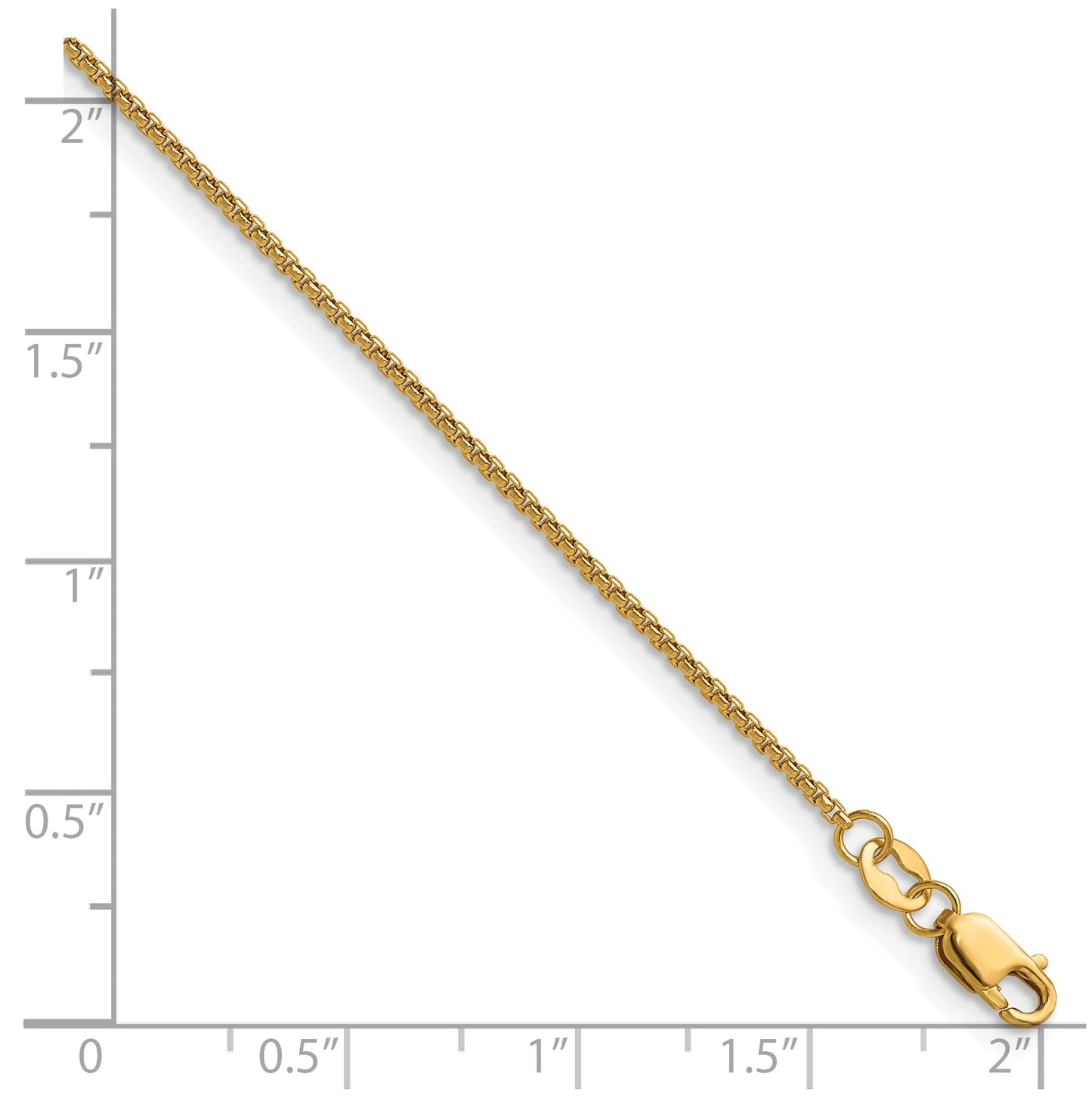1/20 14K Gold Filled Rnd Venetian Box w/Lobster Clasp Chain