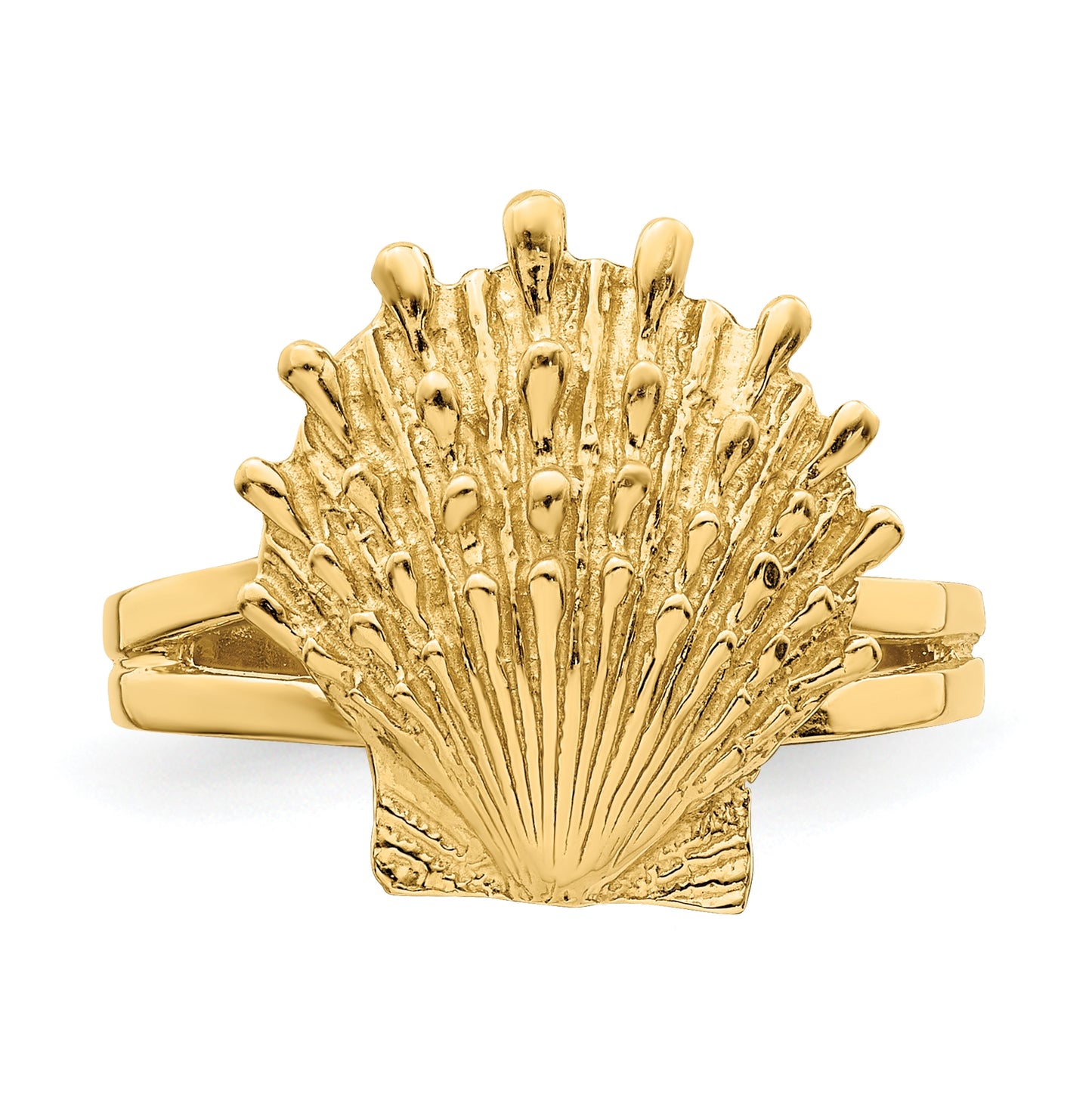 14K Yellow Gold Lion's Paw Shell Ring