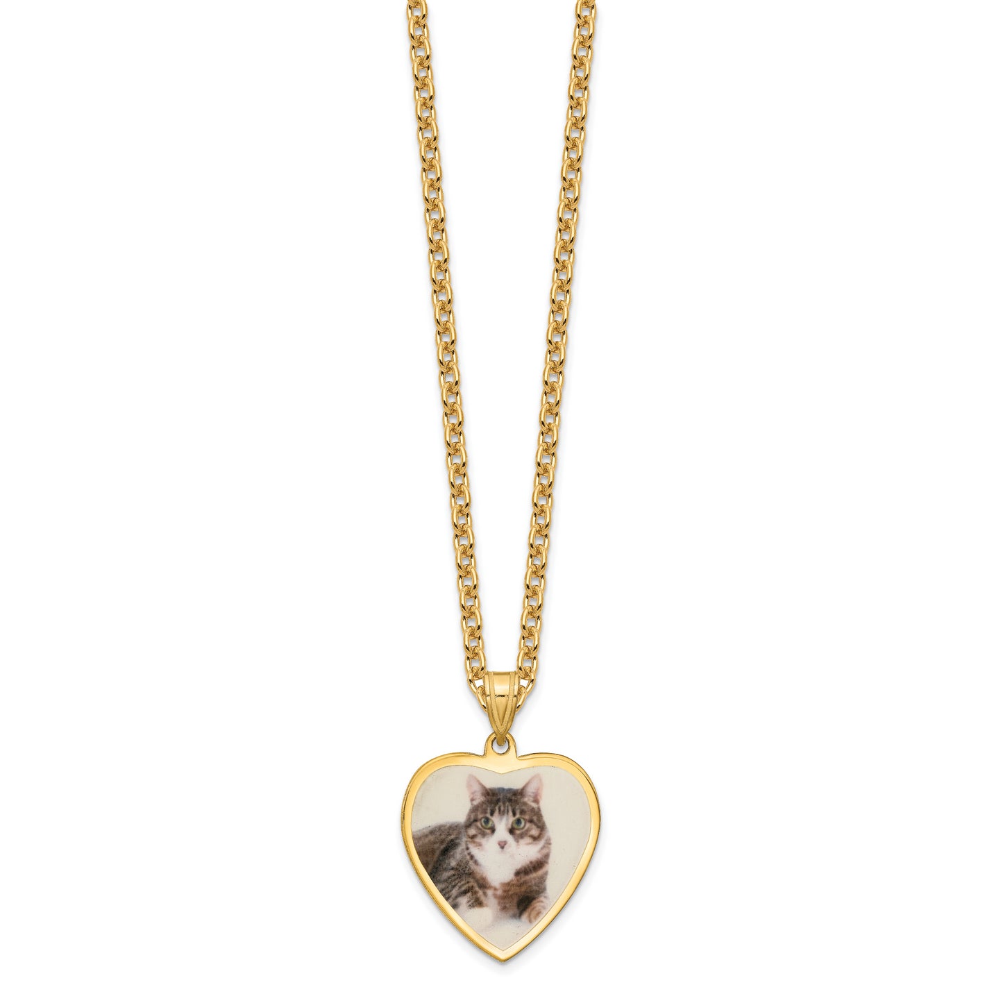 Sterling Silver Gold plated Medium Heart Picture Jewelry Necklace