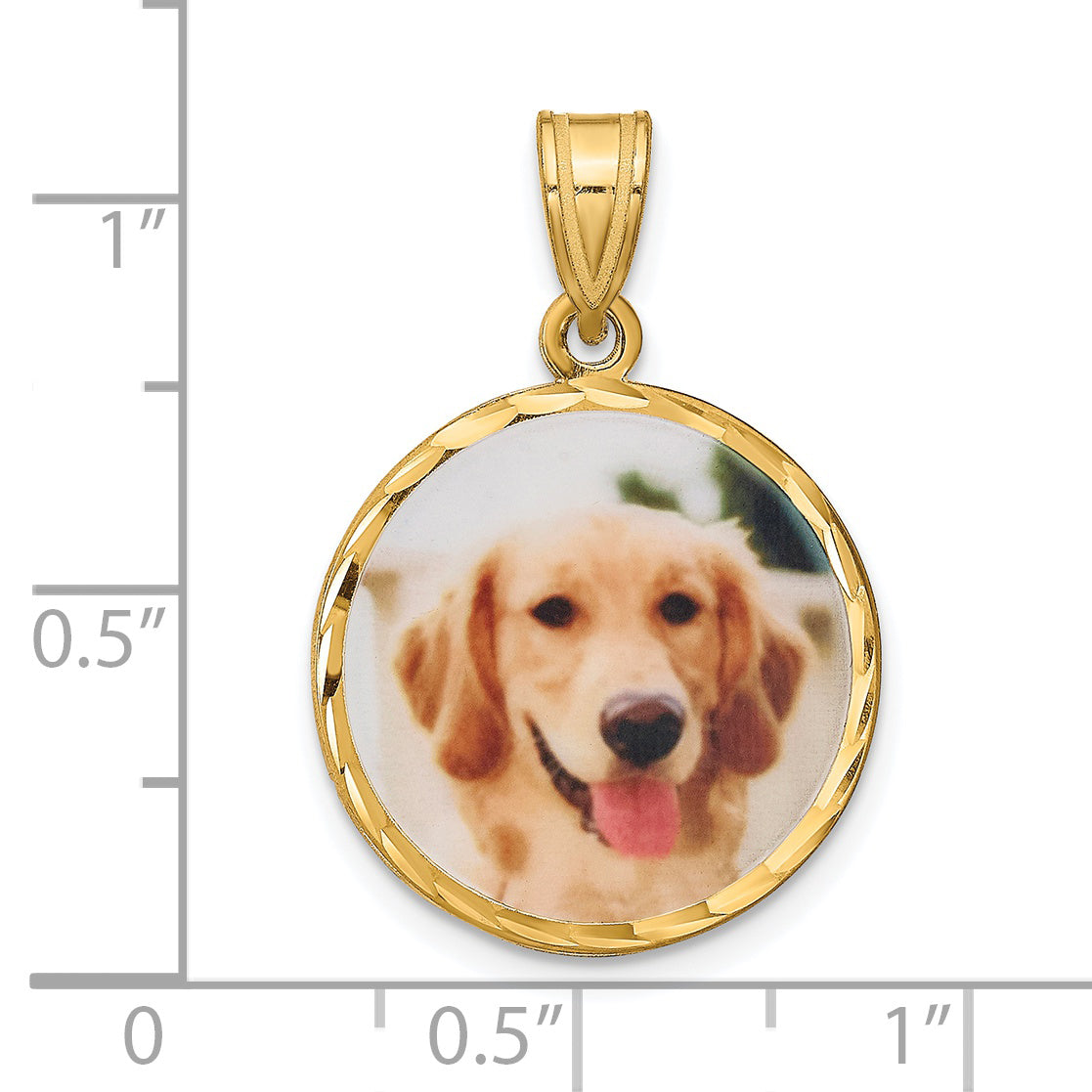 Sterling Silver Gold plated Medium Picture Jewelry Disc Necklace
