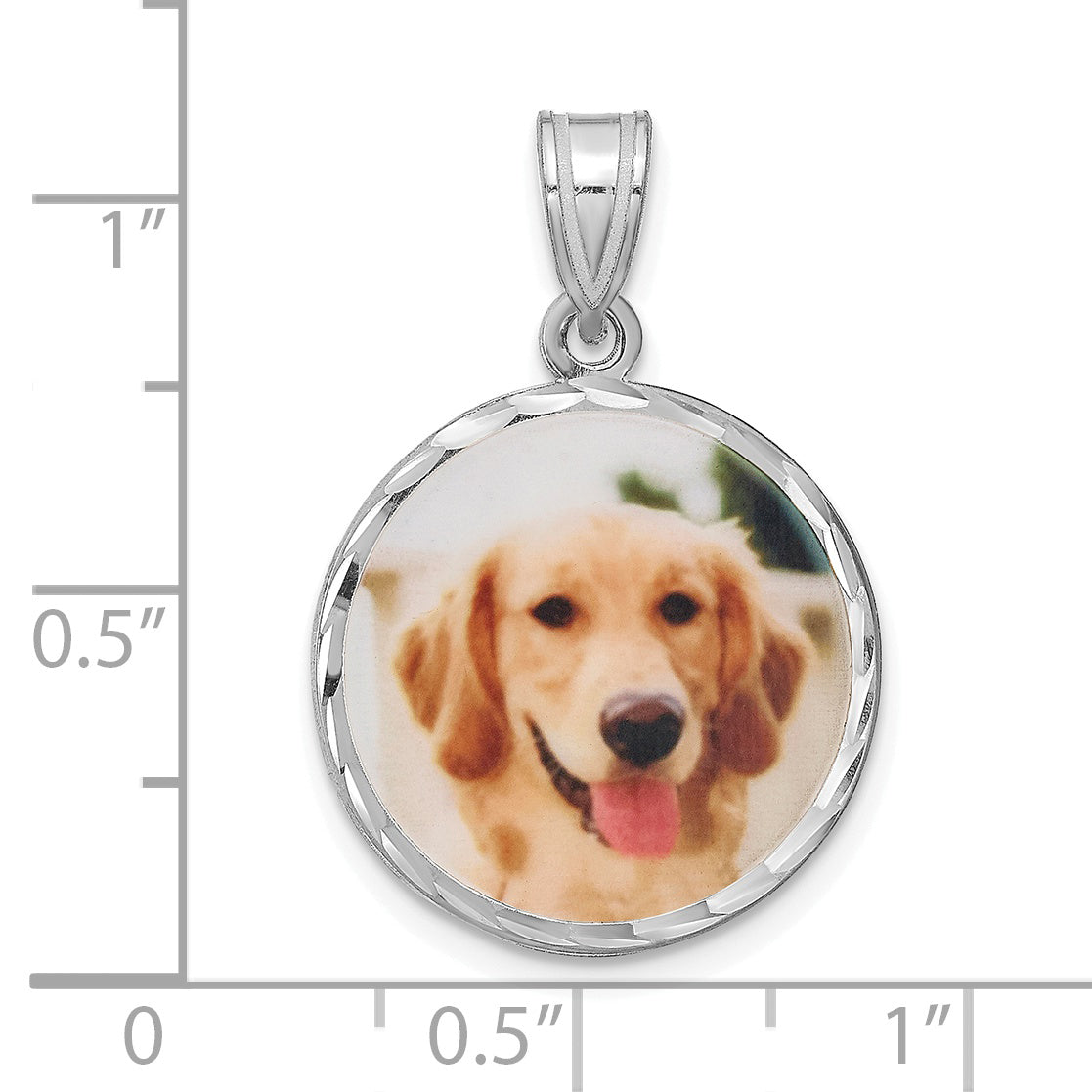 Sterling Silver Rhodium plated Medium Picture Jewelry Disc Necklace