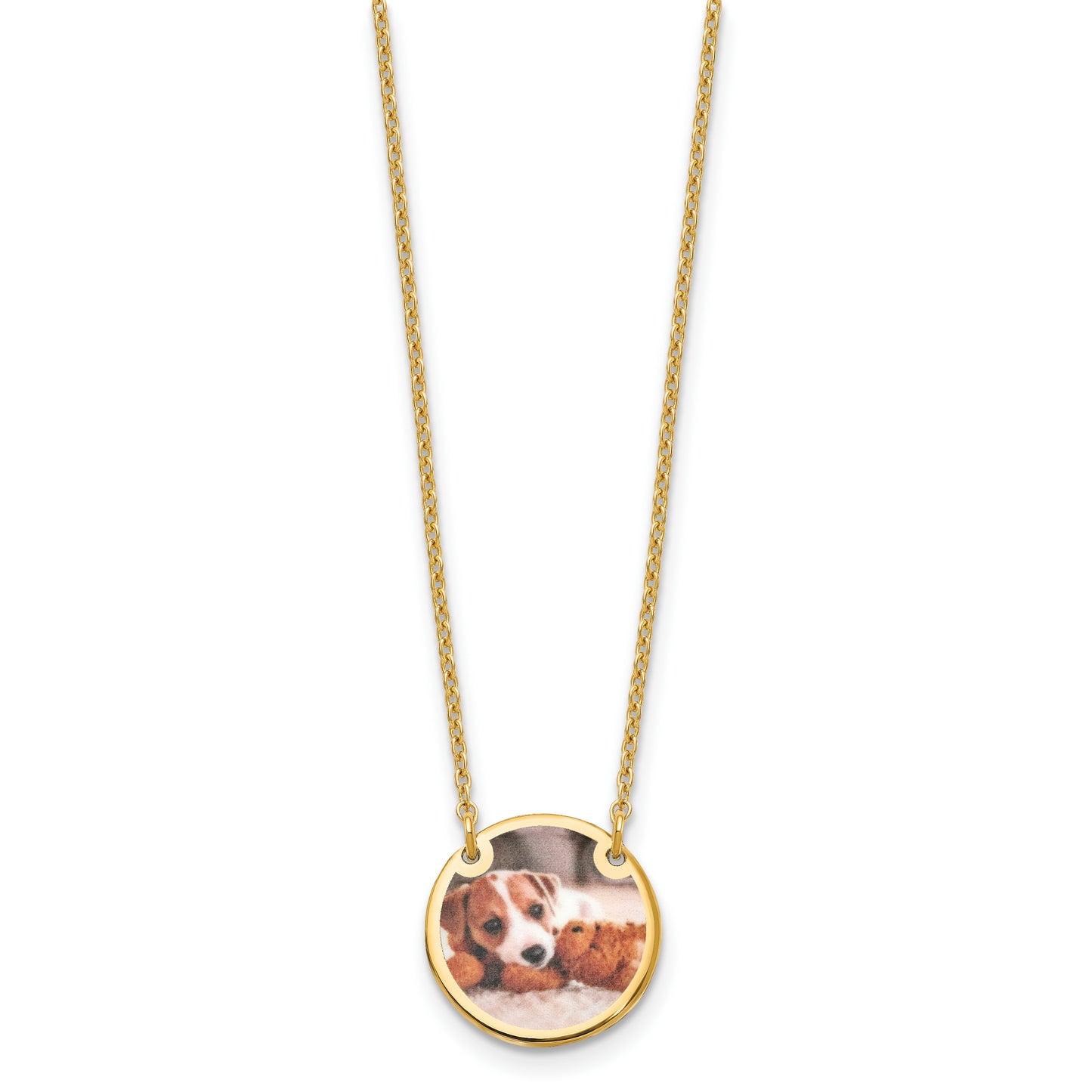 Sterling Silver Gold plated Small Picture Jewelry Disc Necklace