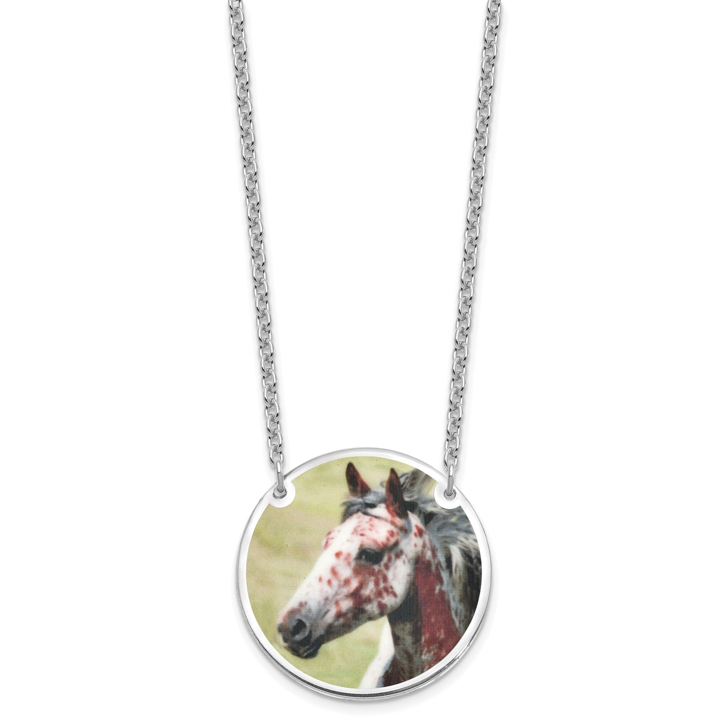 Sterling Silver Rhodium plated Large Picture Jewelry Disc Necklace