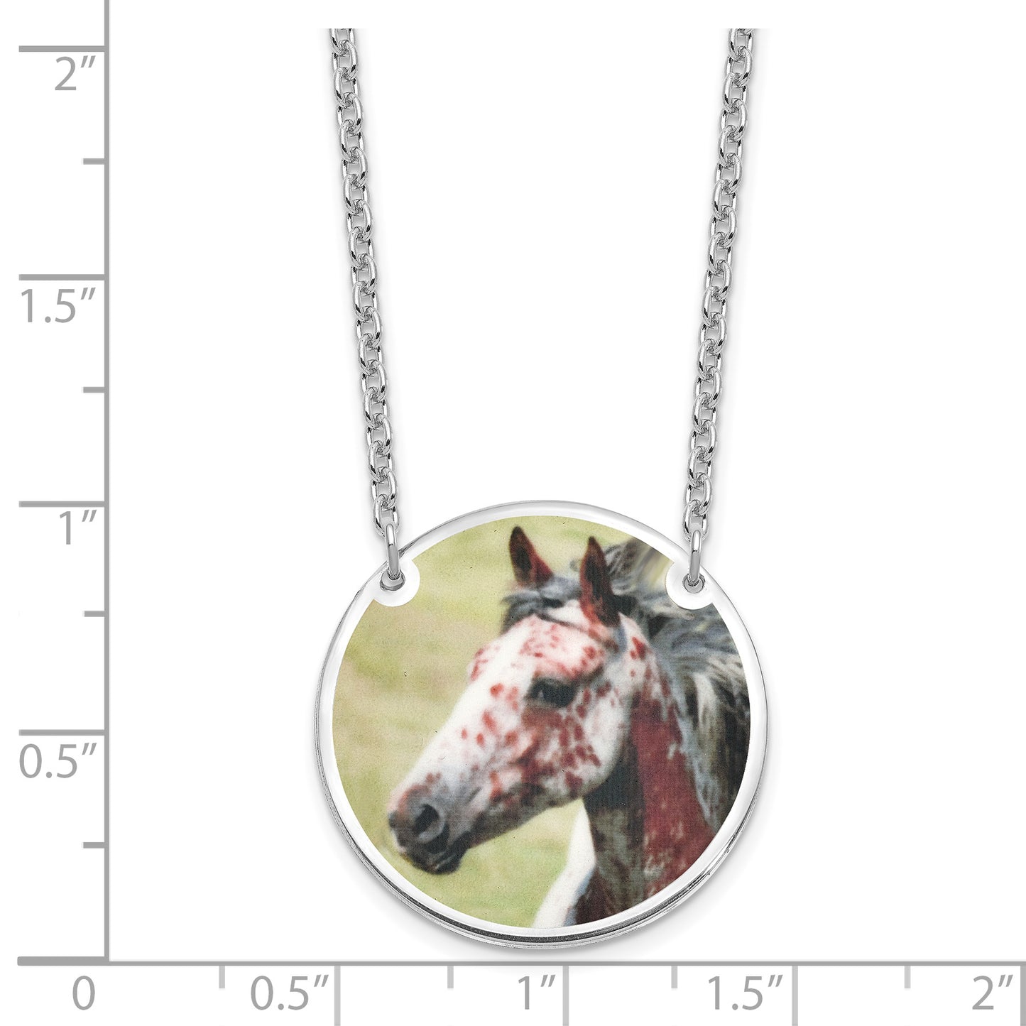 Sterling Silver Rhodium plated Large Picture Jewelry Disc Necklace