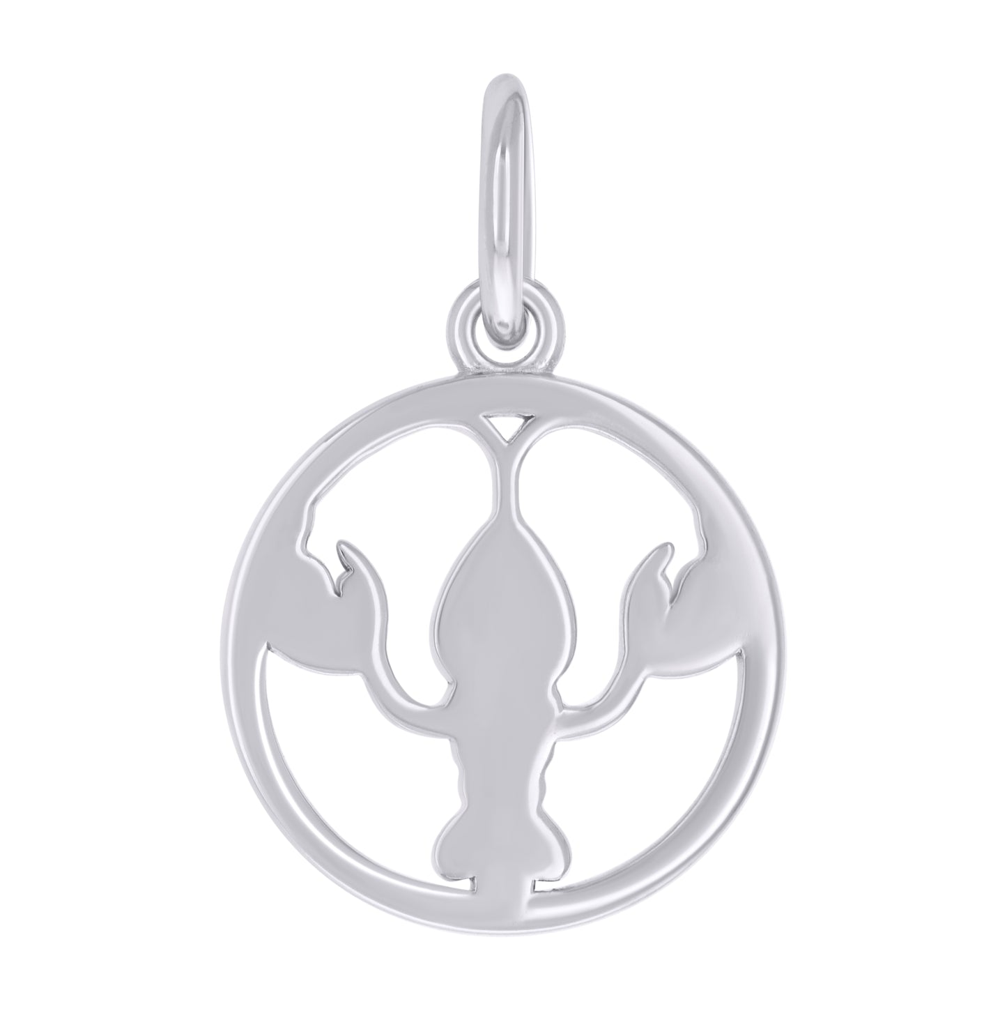 Sterling Silver Unisex Cancer Zodiac Sign Charm Pendant