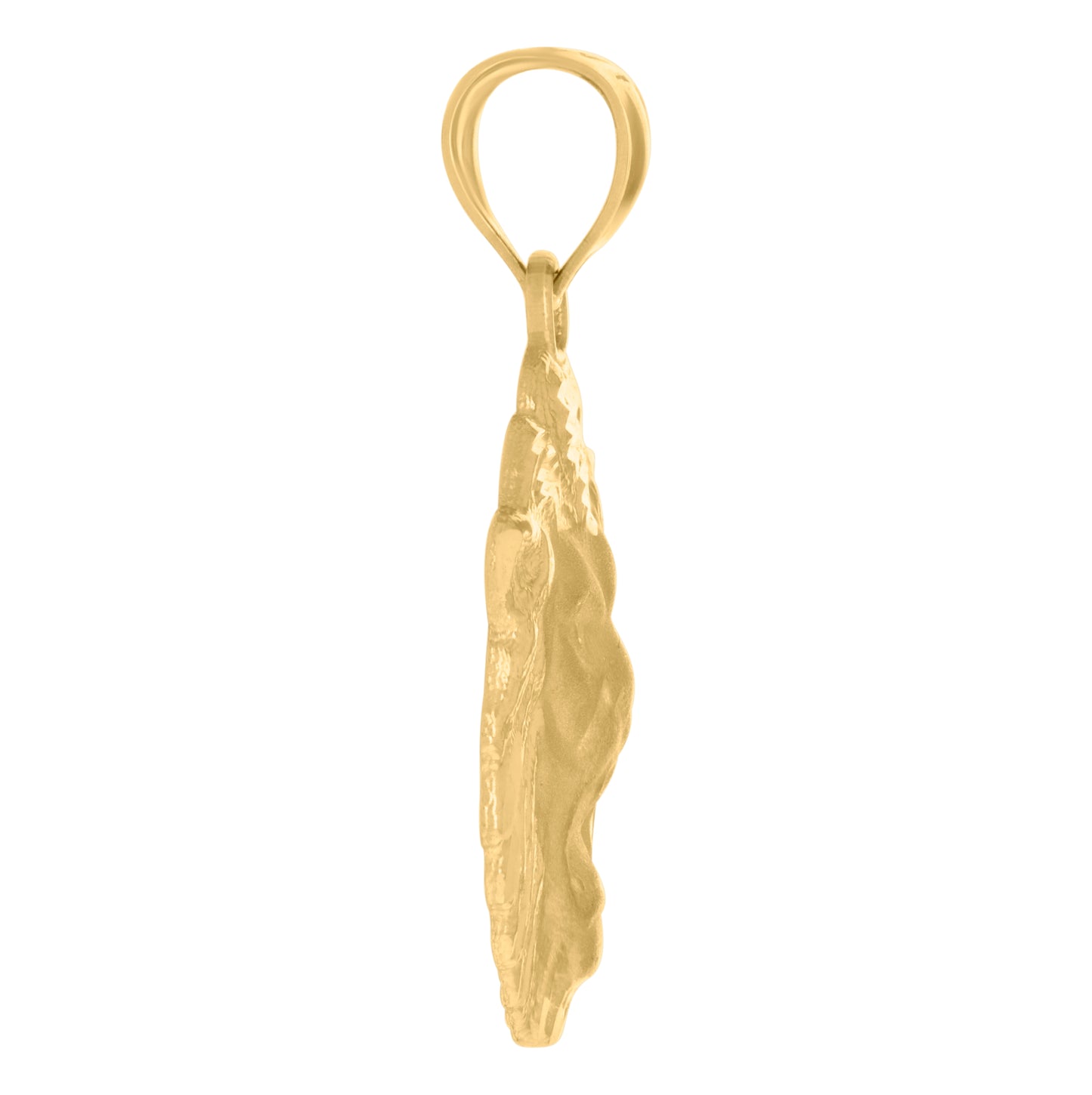 10K Two-Tone Gold Mens Zodiac Sign Leo Lion Head Charm Pendant