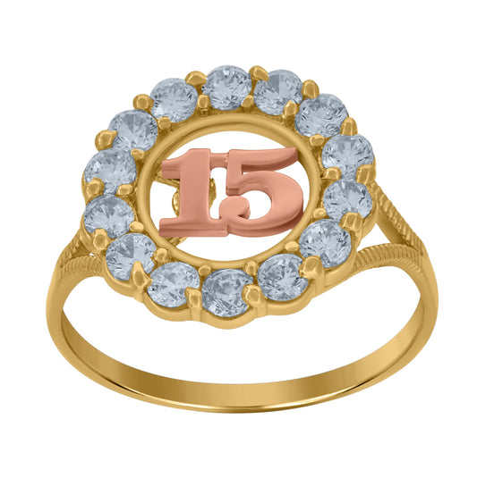 10K Two-Tone Gold Womens Cubic Zirconia 15 Anos Engagement Ring