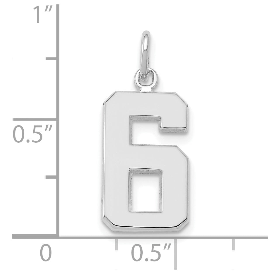 14K White Gold Medium Polished Number 6 Charm