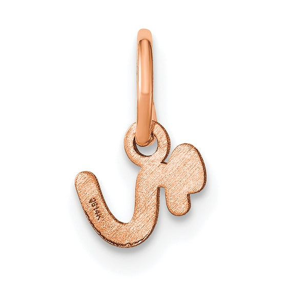14k Rose Gold Lower case Letter R Initial Charm