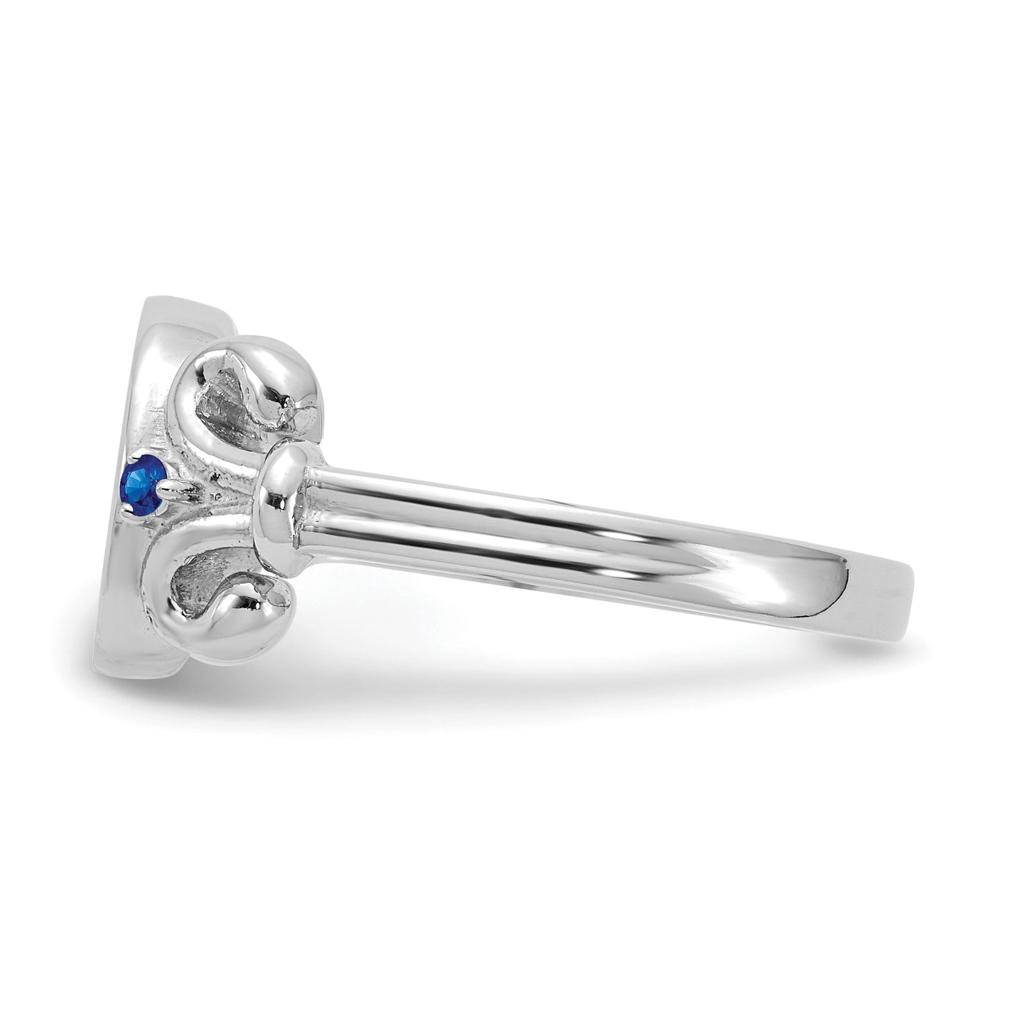 Sterling Silver Rhodium plated Fancy Initial with Birthstone Ring, Size 7